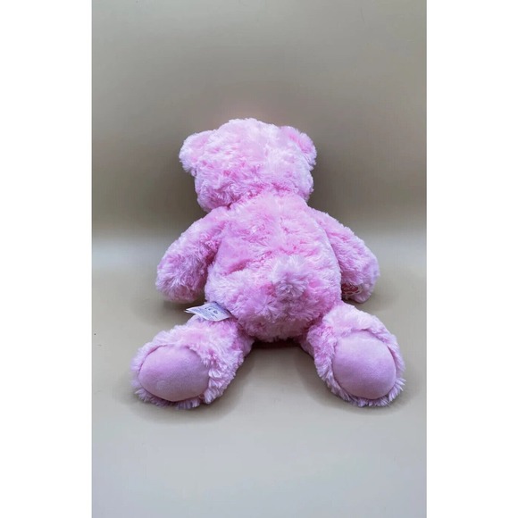 BABW / Build a Bear Workshop Happy Hugs PINK CUDDLES Teddy Bear 17" Plush Toy - Picture 2 of 2